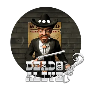 Dead or Alive 2
